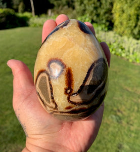 Septarian (Dragon Stone) Big Egg&sphere with heart and mini Sphere set