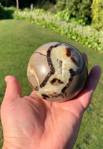 Septarian (Dragon Stone) Big Egg&sphere with heart and mini Sphere set