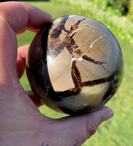 Septarian (Dragon Stone) Big Egg&sphere with heart and mini Sphere set