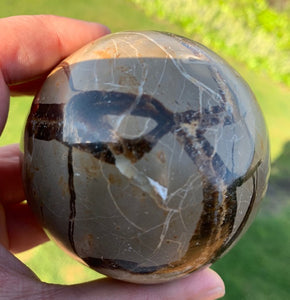 Septarian (Dragon Stone) Big Egg&sphere with heart and mini Sphere set