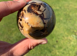 Septarian (Dragon Stone) Big Egg&sphere with heart and mini Sphere set