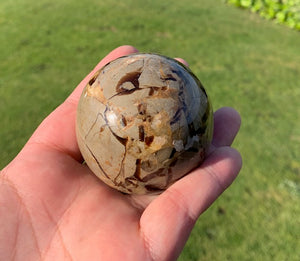 Septarian (Dragon Stone) Big Egg&sphere with heart and mini Sphere set