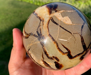 Septarian (Dragon Stone) Big 1.3kg Sphere, 325grams Egg, 175grams Sphere Set