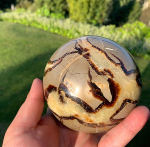 Septarian (Dragon Stone) Big 1.3kg Sphere, 325grams Egg, 175grams Sphere Set