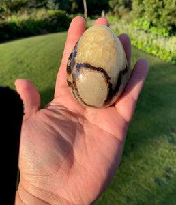 Septarian (Dragon Stone) big 1.25kg Sphere, 300gm Egg and mini 225gm Sphere set