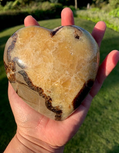 Septarian (Dragon Stone) big 900grams Heart, 225grams Egg, 225grams Sphere Set