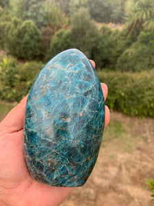 Brazilian Apatite Freeform