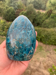 Brazilian Apatite Freeform (s)