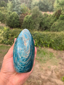 Brazilian Apatite Freeform (s)