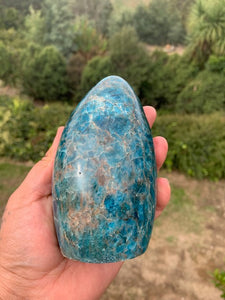 Brazilian Apatite Freeform